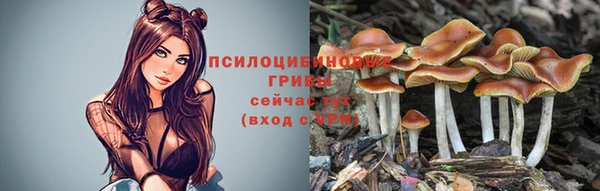 гашиш Ладушкин