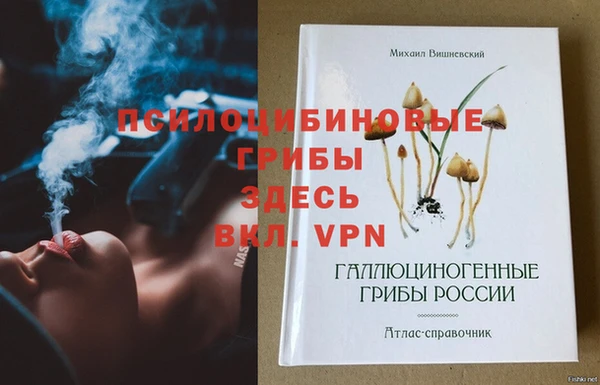 МДПВ Краснослободск