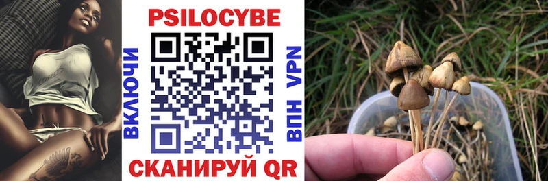 Галлюциногенные грибы Psilocybe  Купить где  Артёмовск 